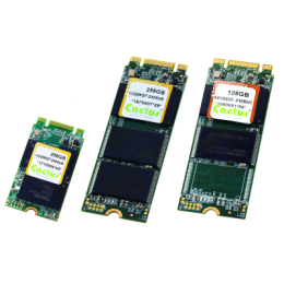 Cactus Technologies Industrial Flash & DRAM