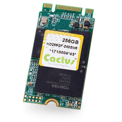 Cactus Technologies